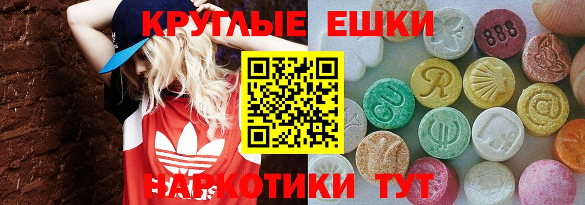 ЭКСТАЗИ Philipp Plein Великий Новгород
