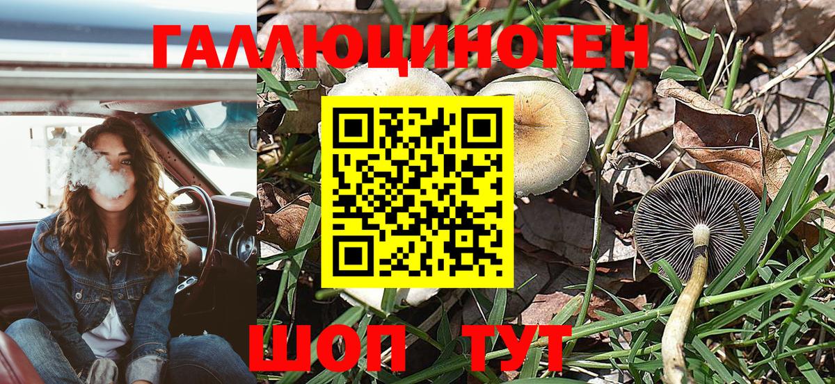 Псилоцибиновые грибы мицелий Великий Новгород