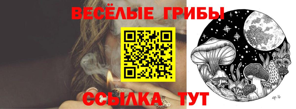 Великий Новгород  Псилоцибиновые грибы мухоморы  Вход с VPN 